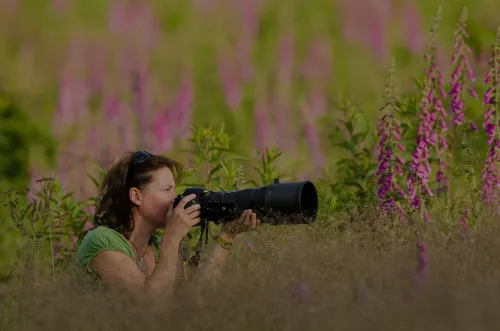Ingrid in actie met haar camera op safari