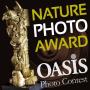 Ingrid Vekemans awarded in Oasis Photo Contest 2018