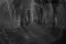 In-camera dark meervoudige belichting DARK van bomen 
