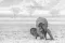 Rode olifant maakt buiging in droog landschap in Tsavo East in Kenia in Afrika