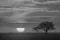 zon komt op in Serengeti tijdens Tanzania Wilderness fotosafari